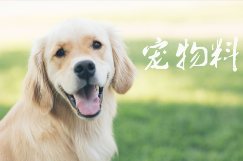 寵物料